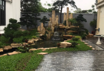 Quy trình thi công Hồ Cá Koi