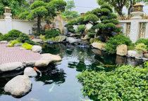 Hồ cá Koi sân vườn khu biệt thự