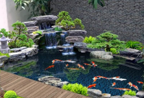 Cải tạo Hồ cá koi bị lỗi