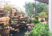 Thiết kế thi công hồ bơi sinh thái