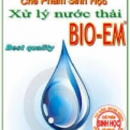VI SINH BÀO TỬ DẠNG KHÔ