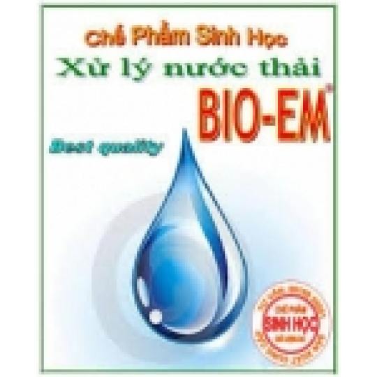 VI SINH BÀO TỬ DẠNG KHÔ